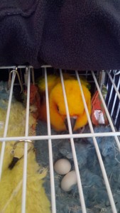 2013-03-19_12-08-19_270