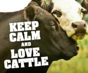 20de71dbfc19cd94229859a64911058b