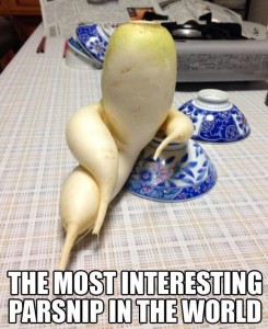 2351119553c0685edaecdd3be061aa95