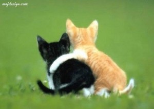 f7dbae2958b8ebca5bdd3f8f8b861331